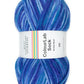 Colour Lab DK Sock